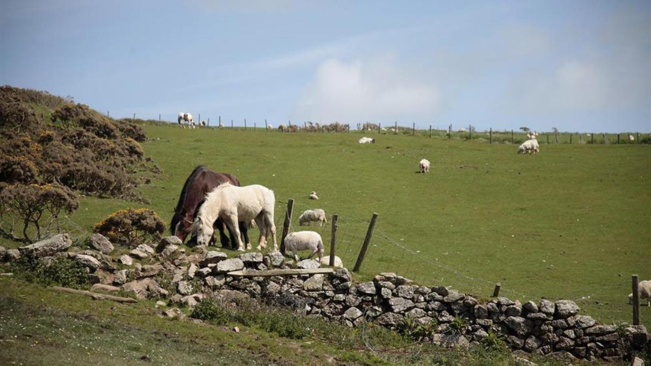 Willa Glebe Farm Rhossili Zewnętrze zdjęcie